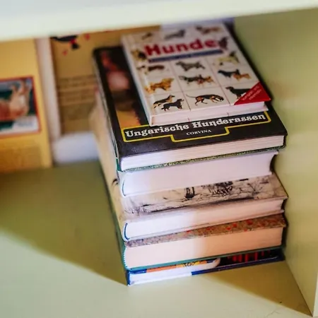 Zita By Interhome * Allrode